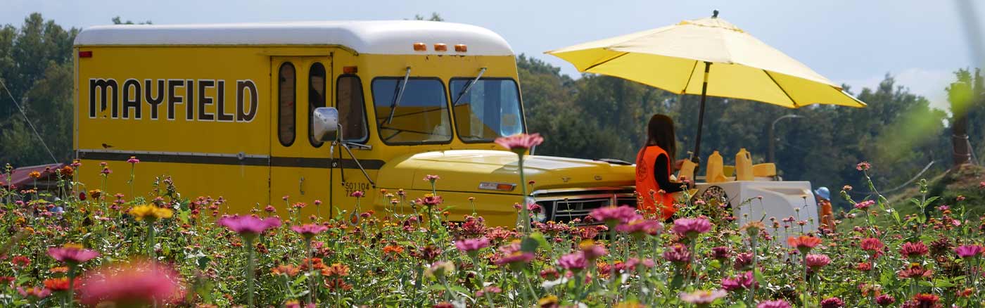 maefields food truck and flowers